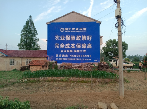 抚州墙体广告为何受追捧?